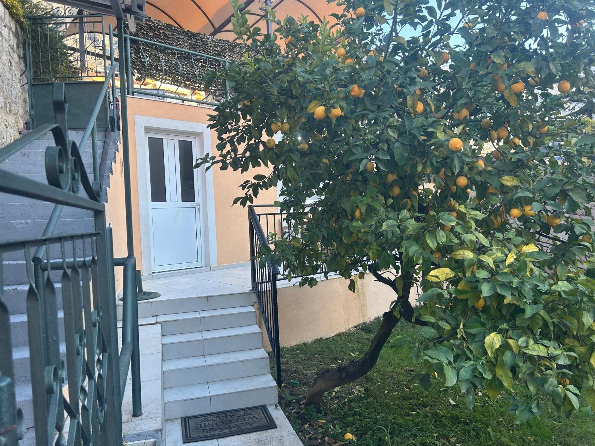Villa Miramare , Dobrota Seafront Κότορ Εξωτερικό φωτογραφία